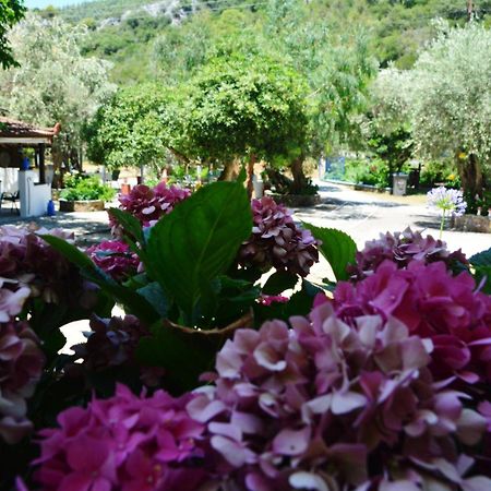 Spiros Rooms Panormos  Exterior photo